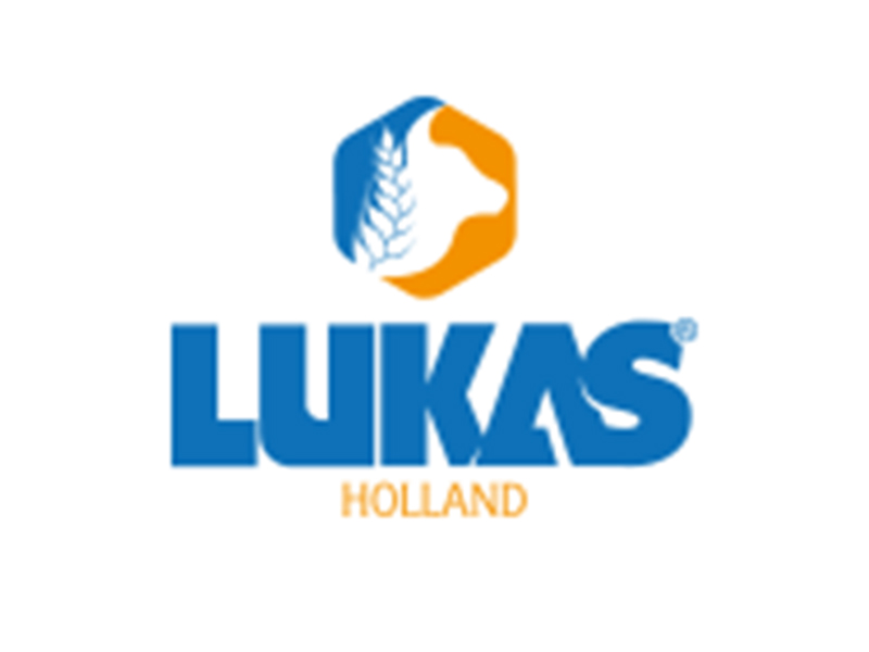 Lukas Holland